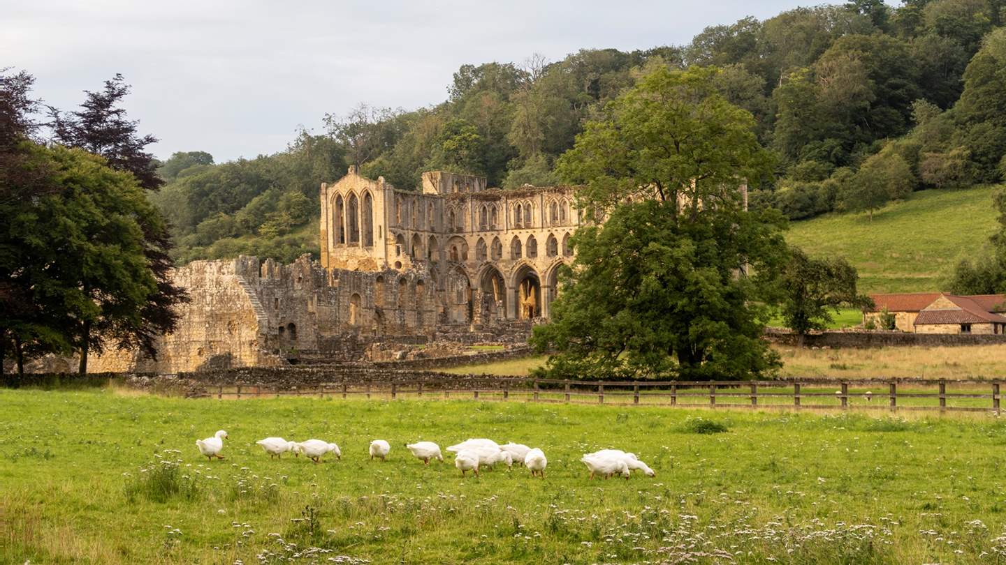 Rievaulx Abbey is one of the many historic sites to visit in the area