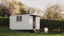 Nestled in the lush paddock is a charming shepherd's hut, perfect for whiling away whimsical hours...