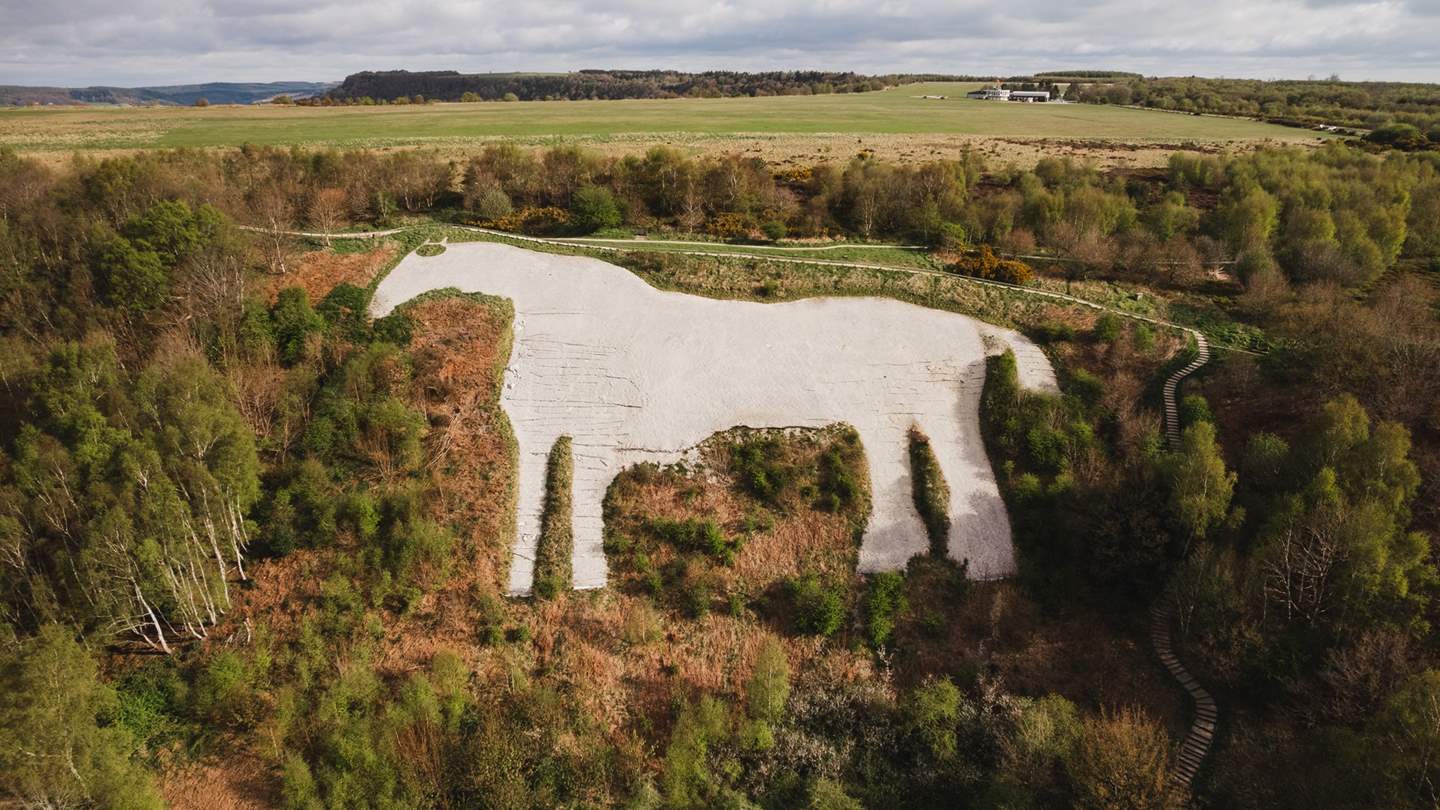 Venture beyond the retreat to explore the local area, where spots of interest await such as The White Horse of Kilburn near Thirsk...