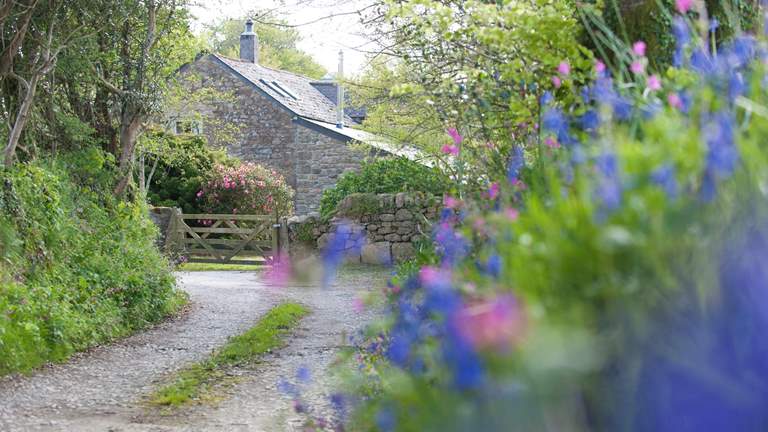 Little Pol - Sleeps 4 + cot - Fowey
