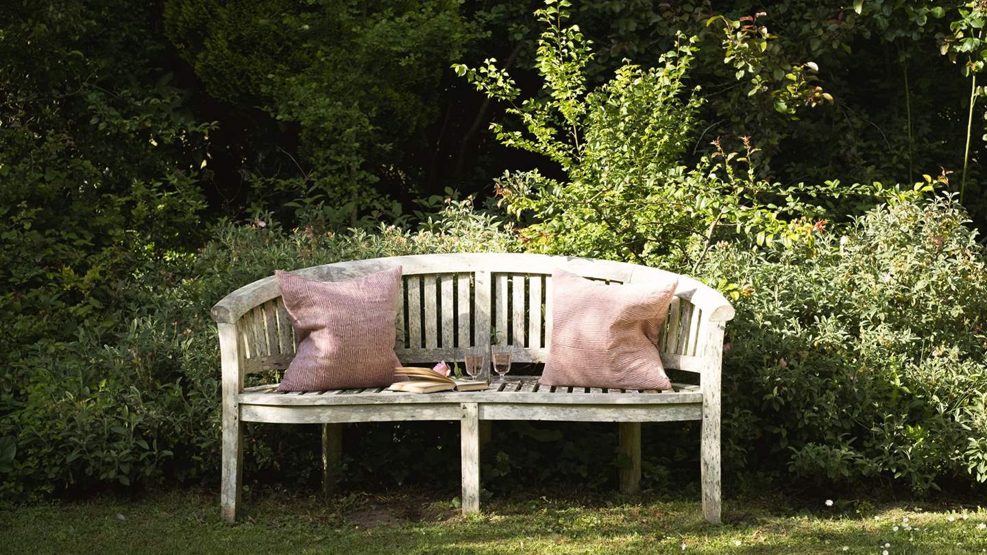 A quiet bench to for a peaceful moment