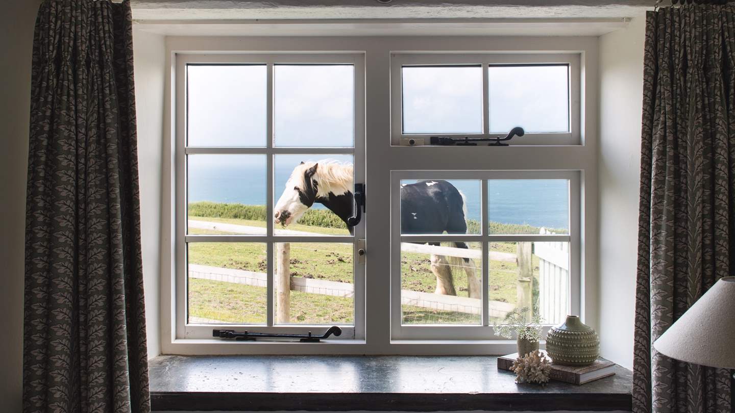With impressive sea views, and the occasional visitor, you'll never tire of the amazing views