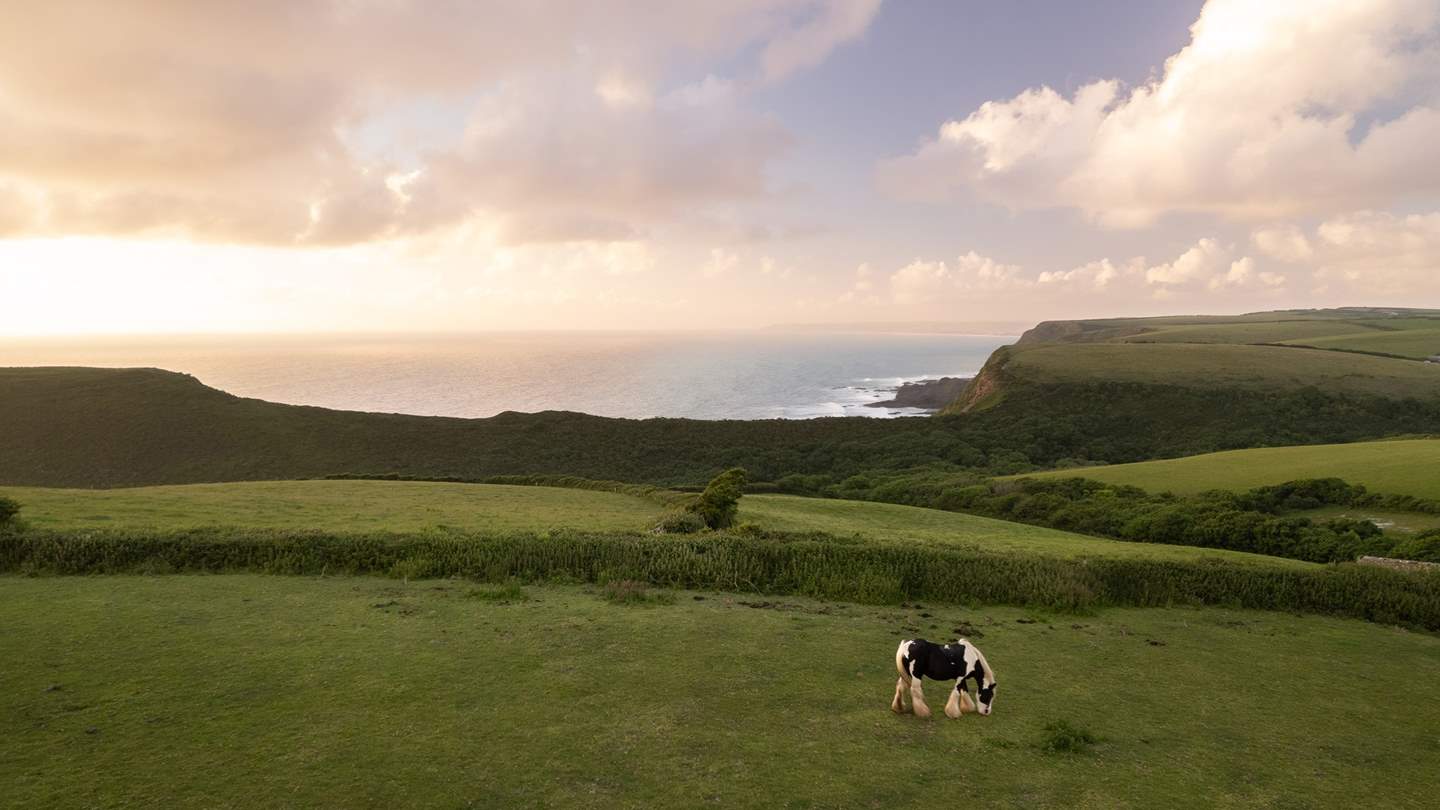 Menaring, our luxury cottage in Cornwall