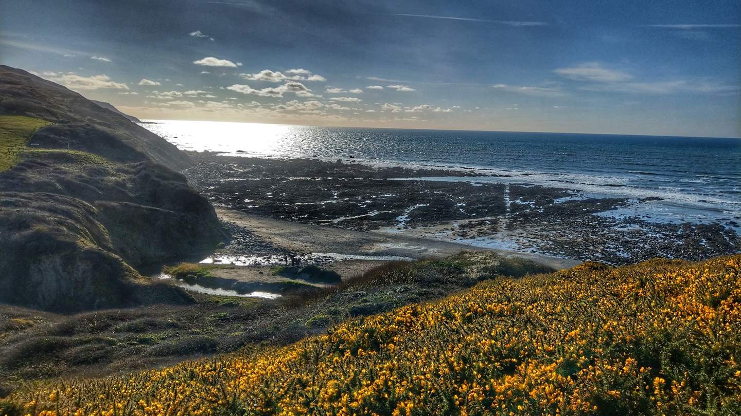 Widemouth Bay is just a short drive away