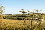 Flee the everyday to delight in the untamed beauty of Cornwall