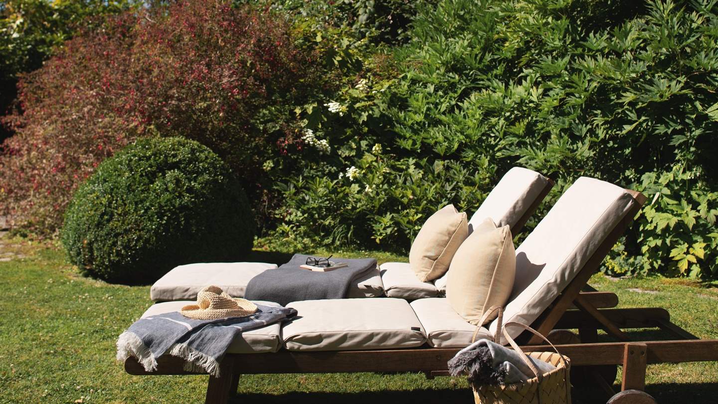 Uncover the magic of La Rosa... 