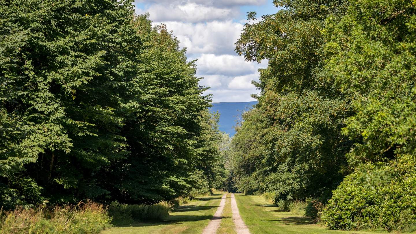 Endless reams of pastoral countryside wait to be explored