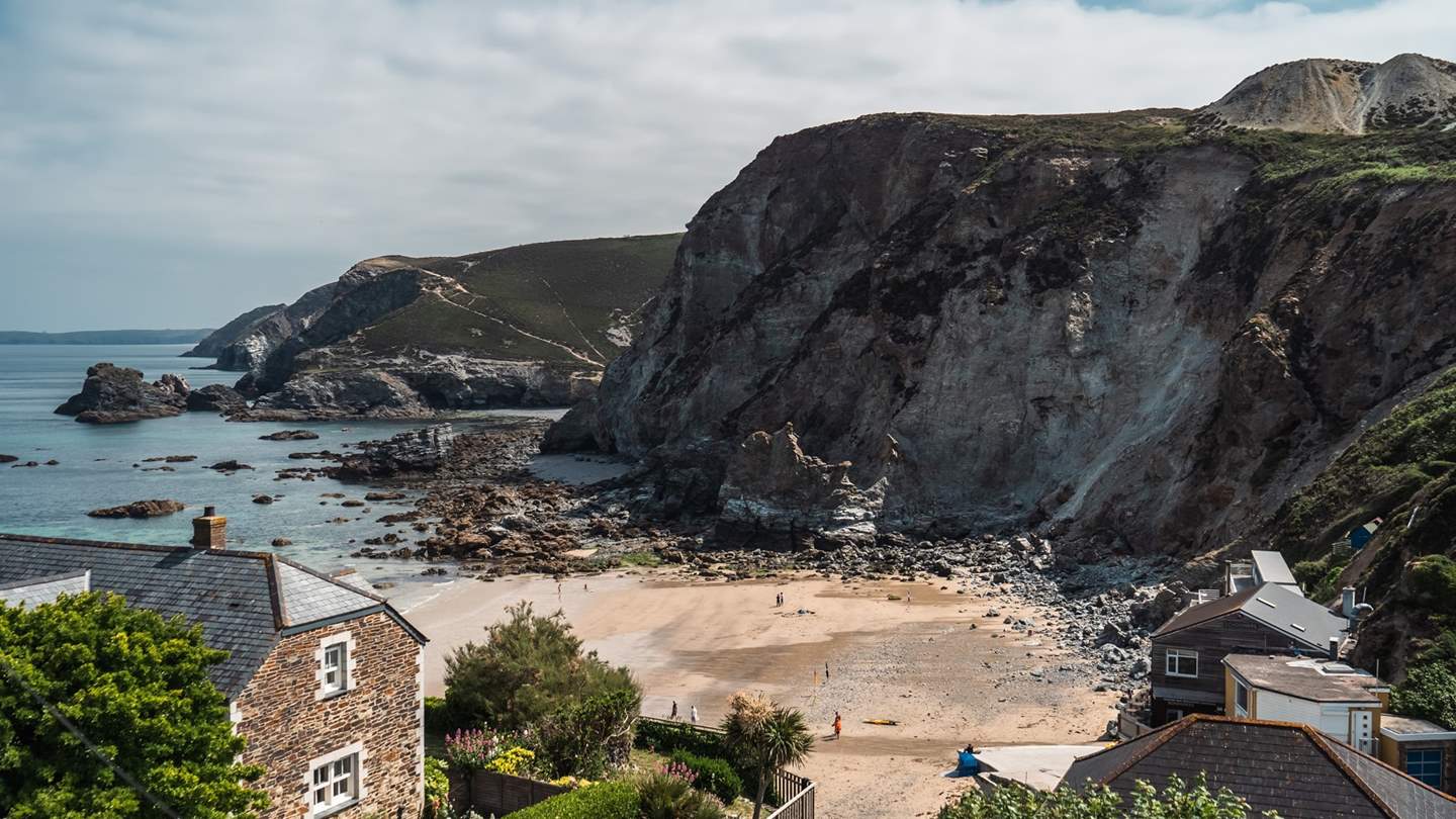 Nori enjoys breath-taking views over Trevaunance Cove 