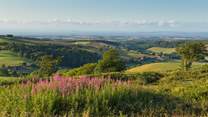 Escape the everyday and uncover the magical Somerset countryside... 