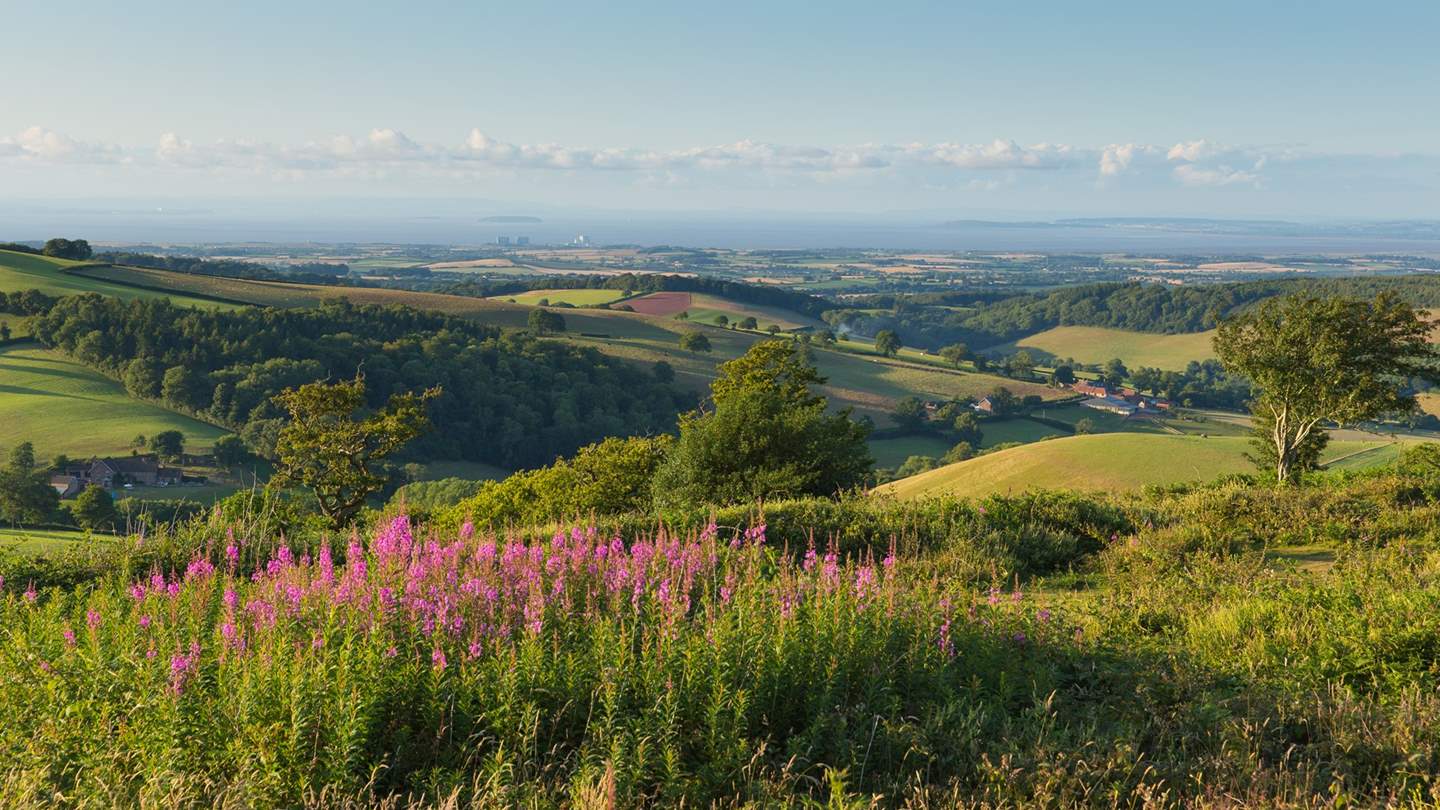 Escape the everyday and uncover the magical Somerset countryside... 