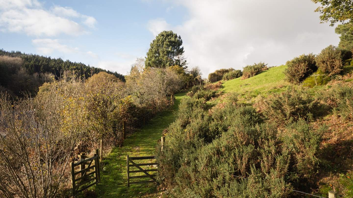 Enjoy access to two acres of enclosed private moorland 