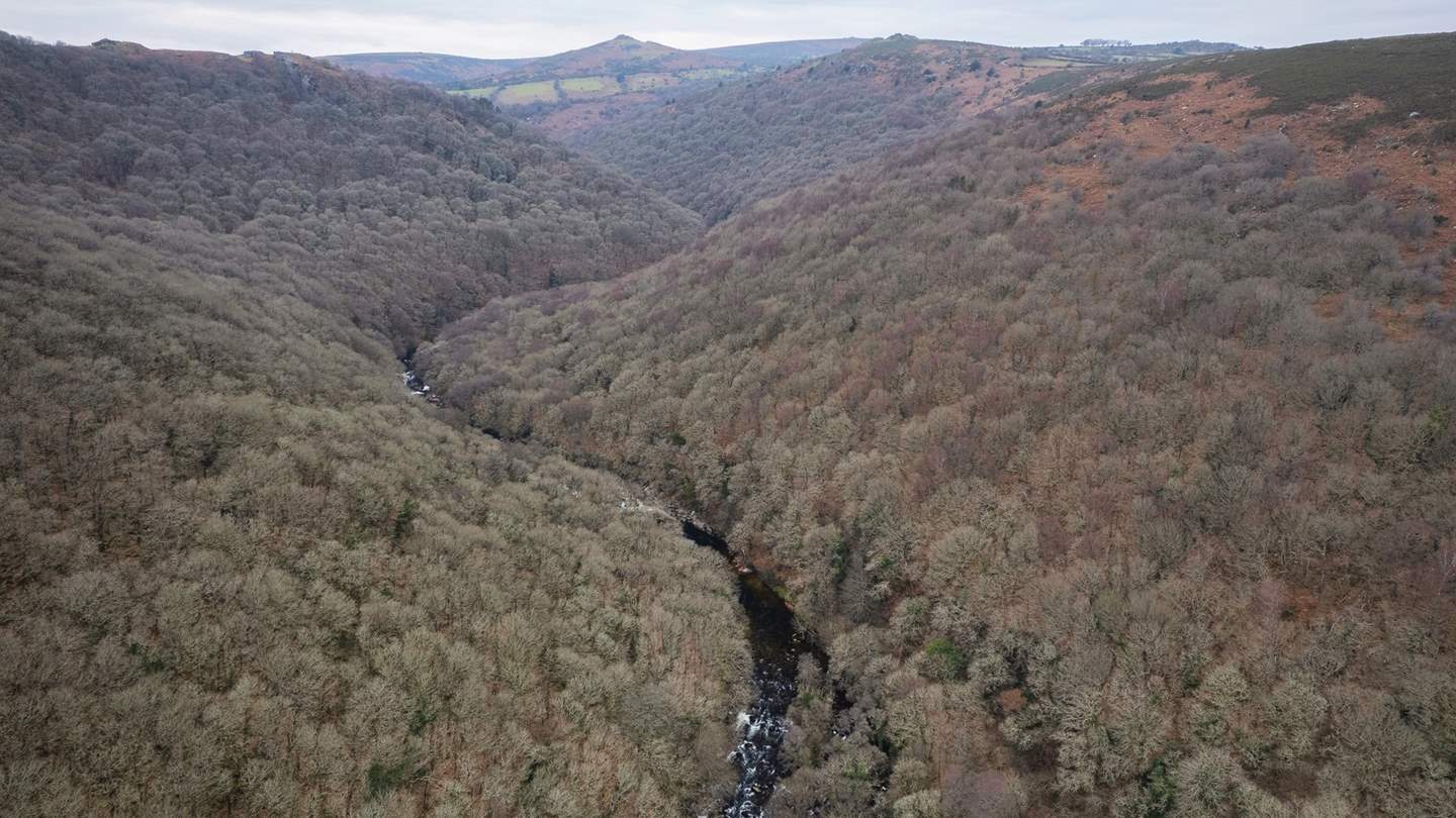 Enjoy walks alongside babbling waters and mesmerising views across the breath-taking moors 