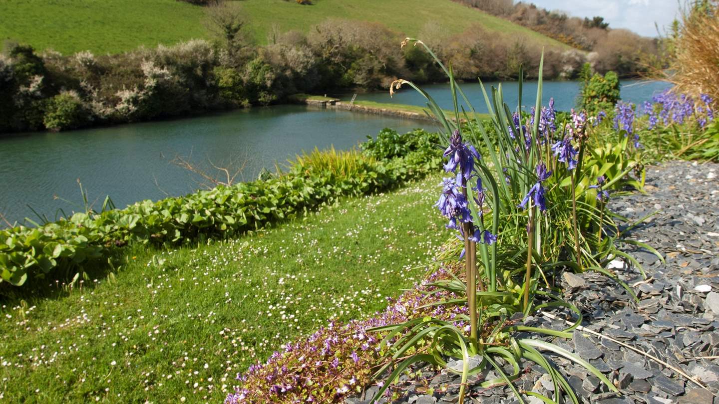 The terrace is a wonderful place to sit in the evening with a glass in hand as the sun sets over the tree-lined creek