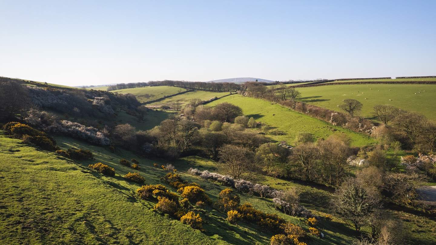 Surrounded by flowing fields, Treglasta Manor sits within easy reach of both the salt-kissed Cornish coast and the rugged, heather-tufted uplands of Bodmin Moor