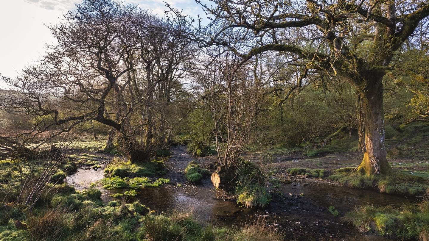 For lovers of the great outdoors, there are few places more magical than this for days of discovery, be it tracing woodland trails or coastal paths through beautiful scenery