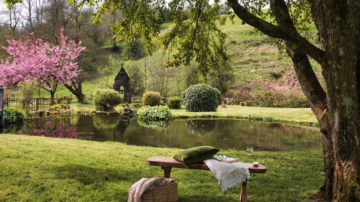 Tan y Coed's ethereal grounds have endless seating options scattered throughout 