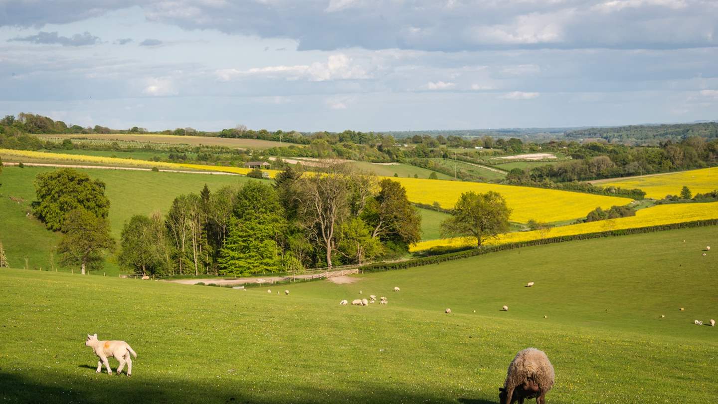 Uncover nature's most heavenly moments at our countryside homestay...