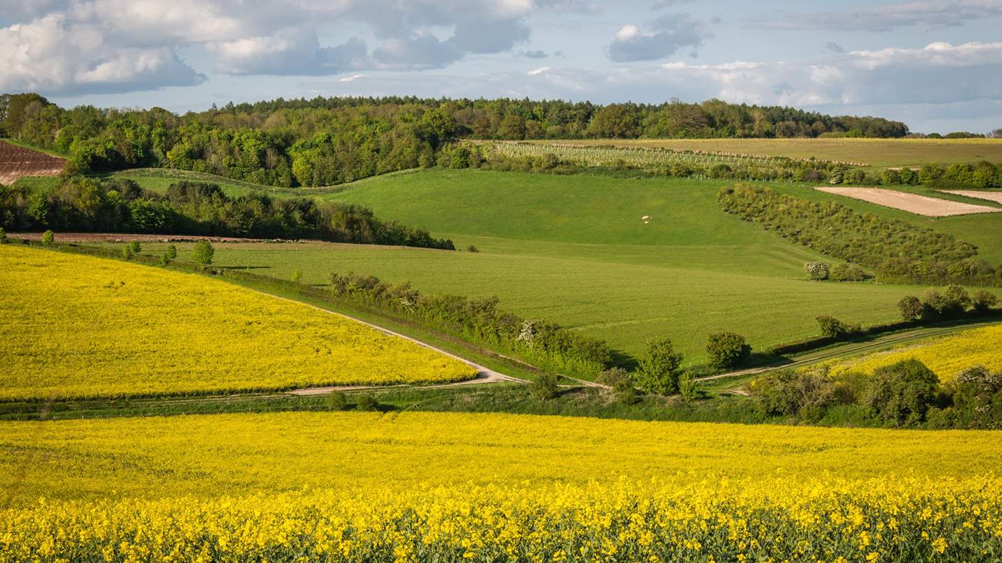 For the most idyllic picnics and sundowner sessions, stroll to your favourite spot or borrow the onsite Mule to drive to a secret vantage point within the estate
