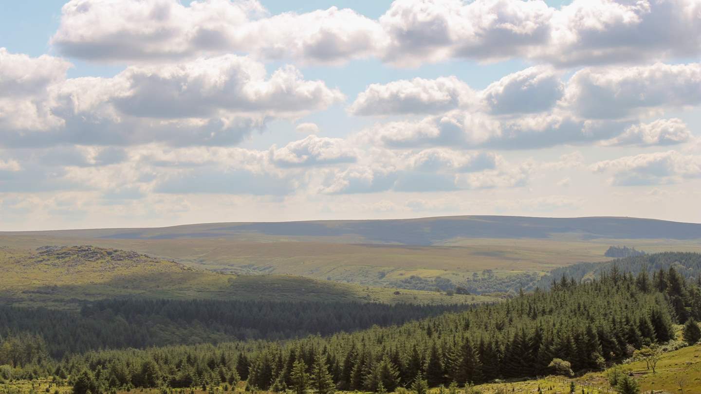 Sprawling moorland, granite tors and free-roaming moorland ponies await to take your breath away...
