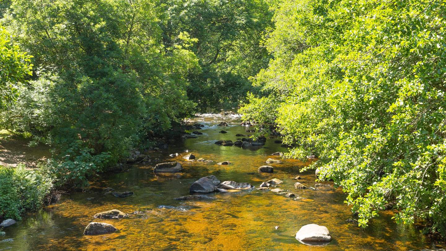 Retreat to the wilds of Dartmoor and uncover beautiful spots such as the River Teign