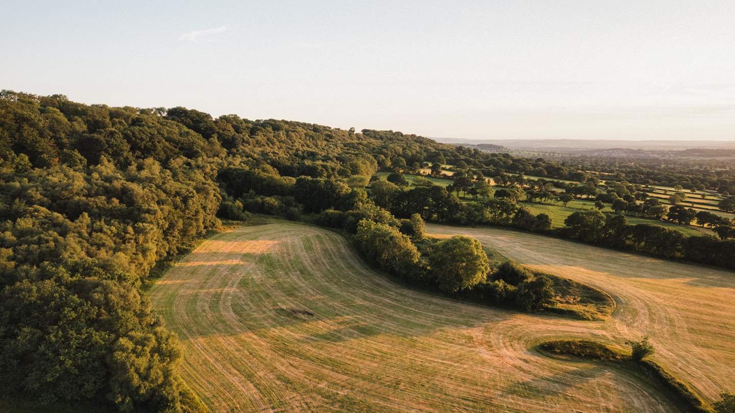 Uncover a heavenly escape from reality in every season