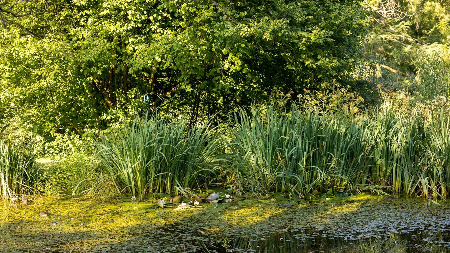 Immerse yourself in country living, with access to a private orchard, ponds and woodland