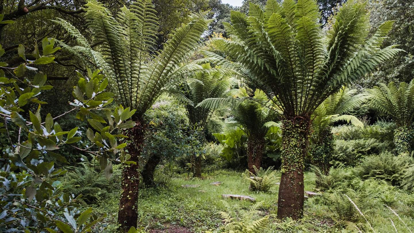 Lowartha is a dream for both honeymoon escape and solitary trips... 