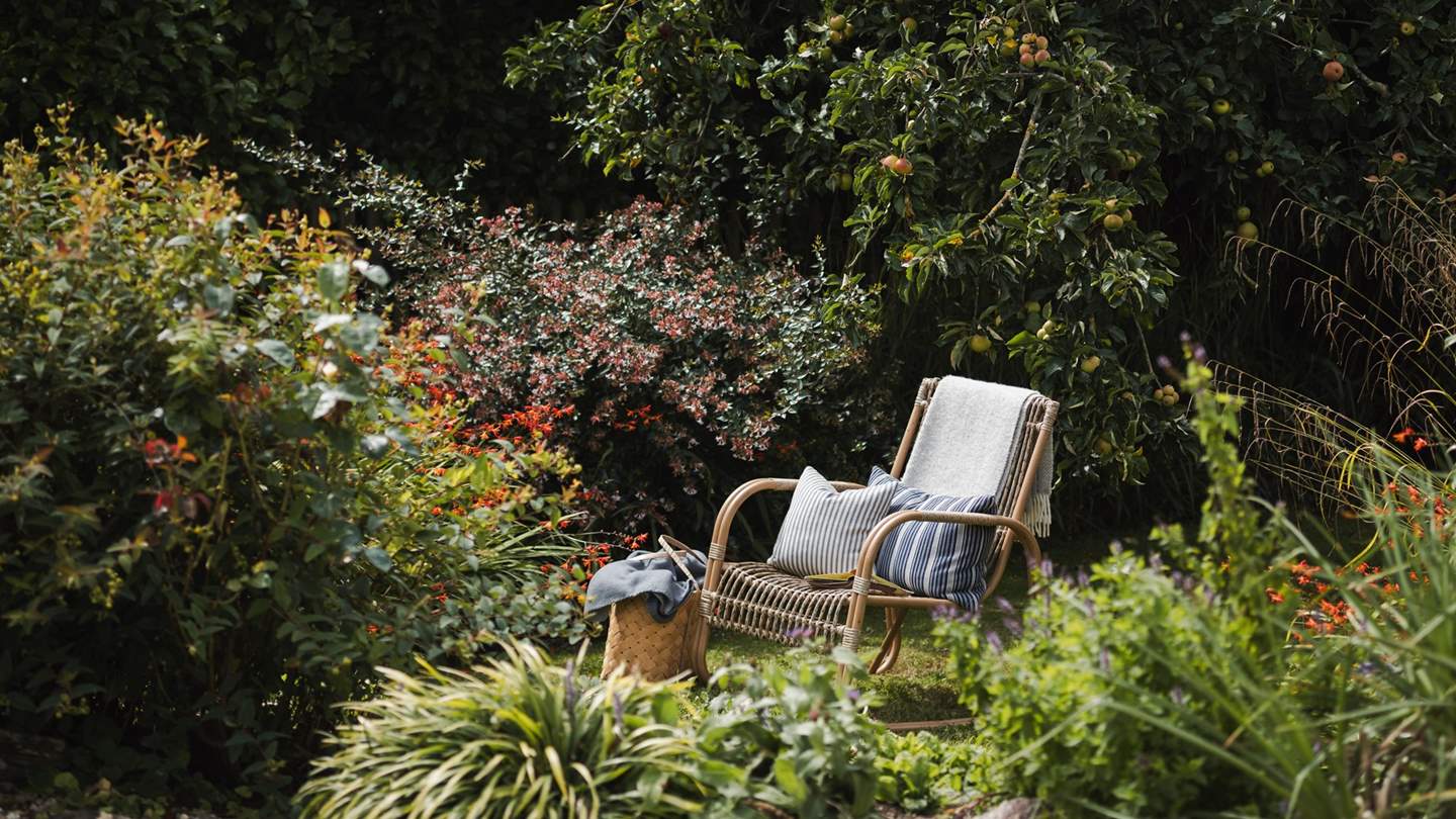 The garden is also a beautiful spot to look out for rare birds of prey soaring overhead 