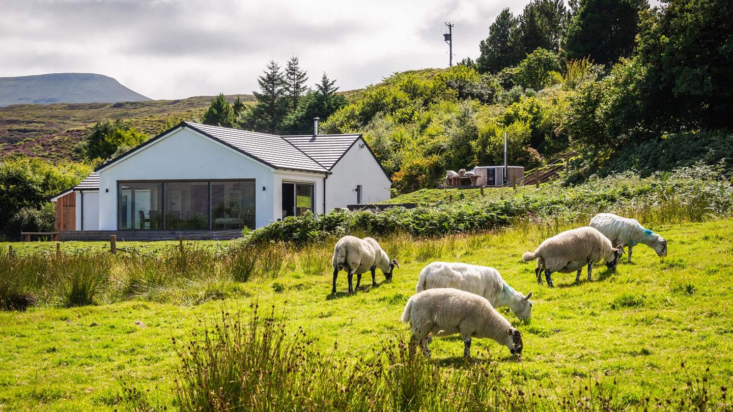 Relish slow mornings in your Boutique abode and soul-stirring adventures within Skye’s awe-inspiring landscapes