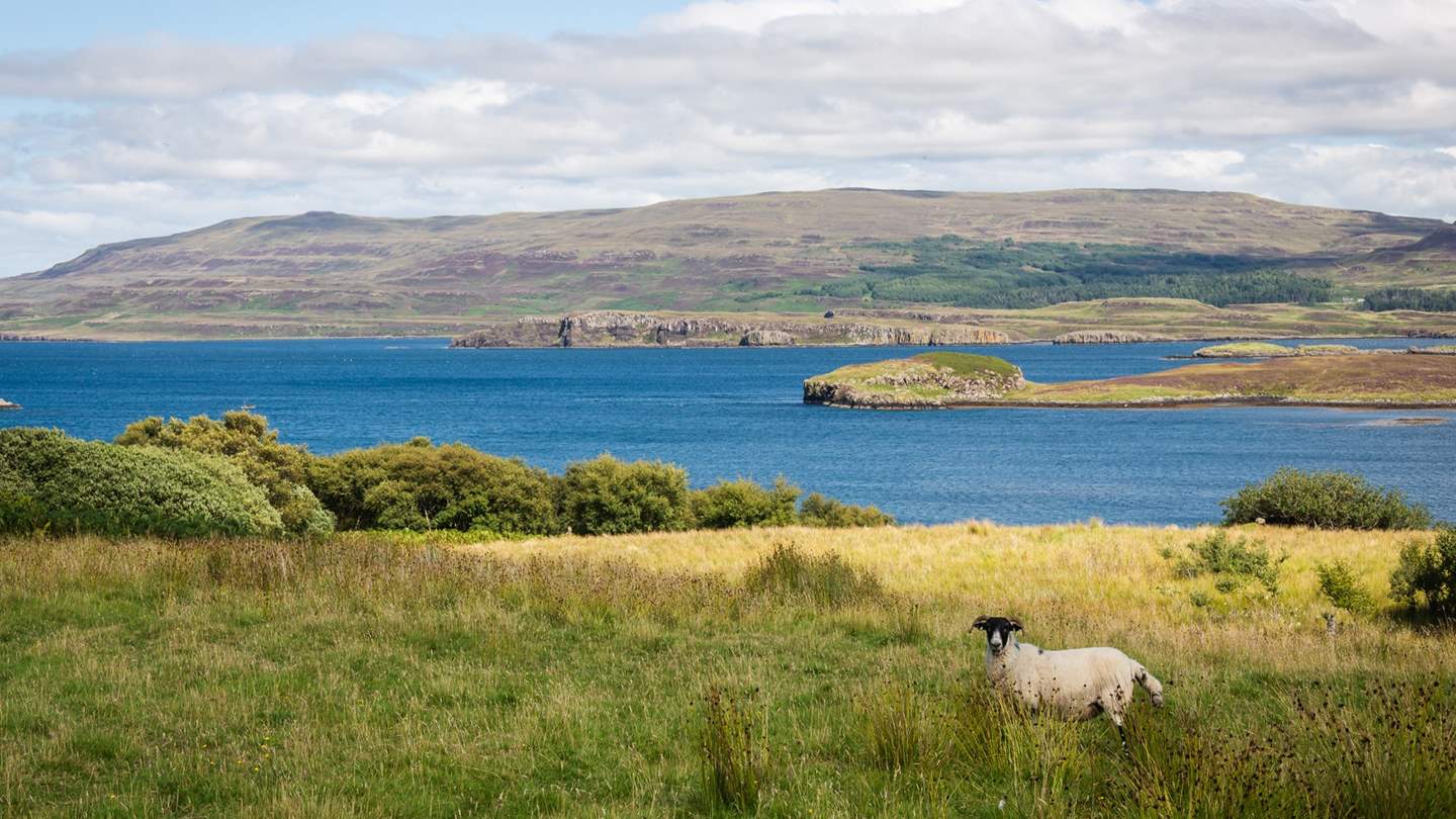 With so much to see and do on your doorstep, you can seize the opportunity to experience both local walks and attractions and take unforgettable road trips around the island