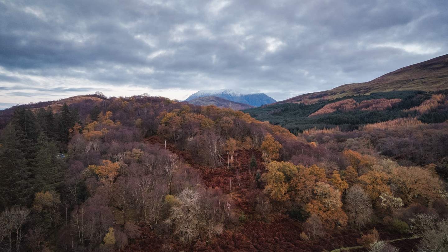 The estate is a haven for a multitude of Scottish wildlife, including majestic stags and soaring sea eagles