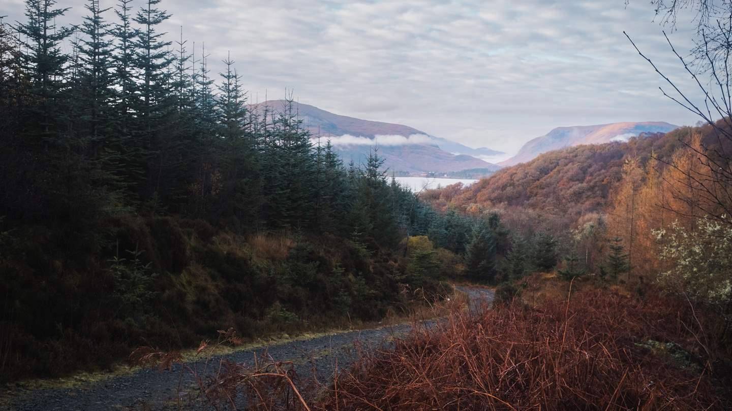 Accessed via a private woodland drive, Druimarbin Farmhouse takes pride of place within this Highland estate of over three thousand acres of private land