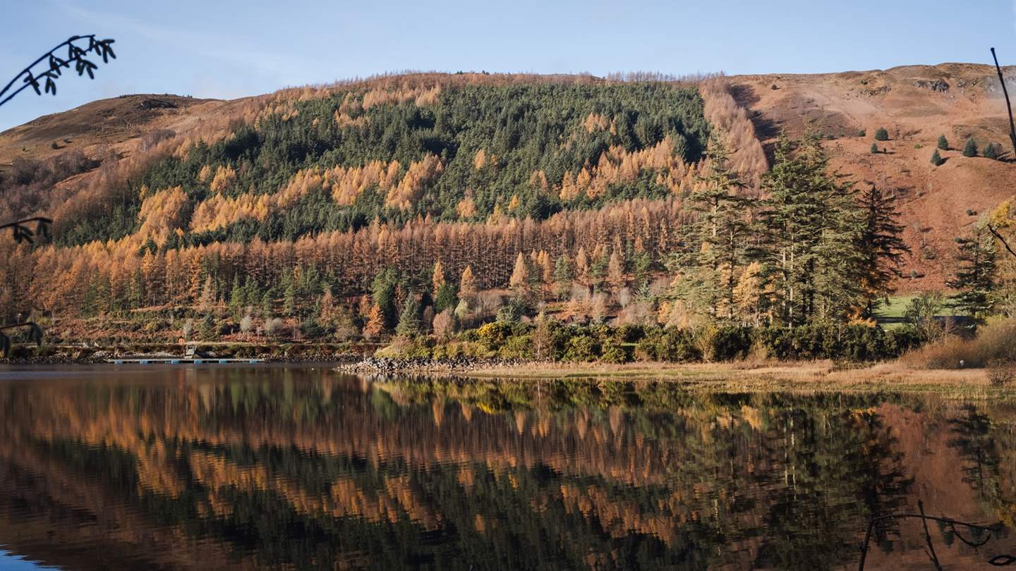 Explore the vast, untamed landscapes and immerse yourself in a world of fairytale wonder, where enchantment resides around every corner