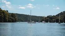 For those in pursuit of days spent on the water, discover a range of motor and sailboats at Dittisham Boat hire