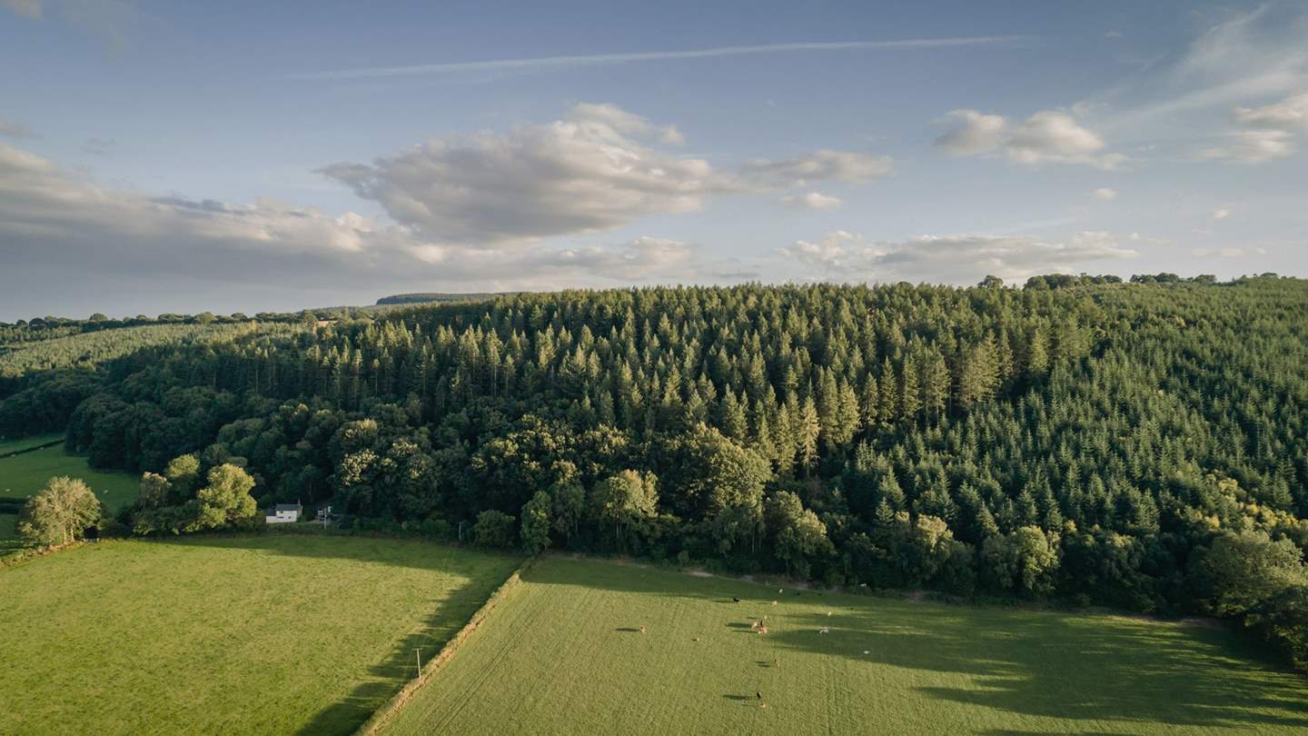 The Coppice, our luxury dog-friendly homestay in the Shropshire Hills
