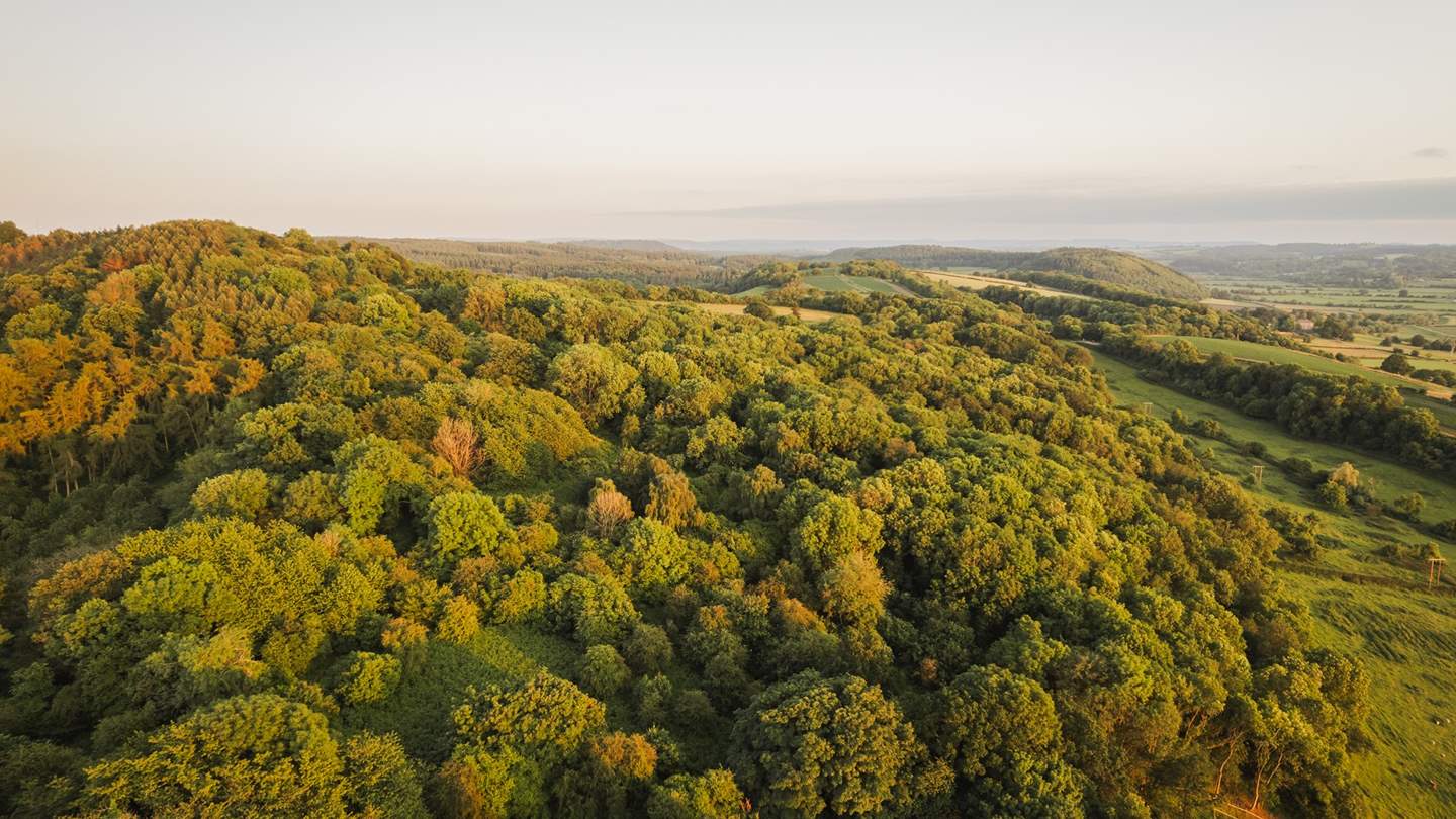 For the adventurous souls, the Wye Valley resides right on your doorstep