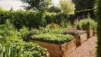 Guests are most welcome to pick from the fruit trees, as well as the herb and flower garden