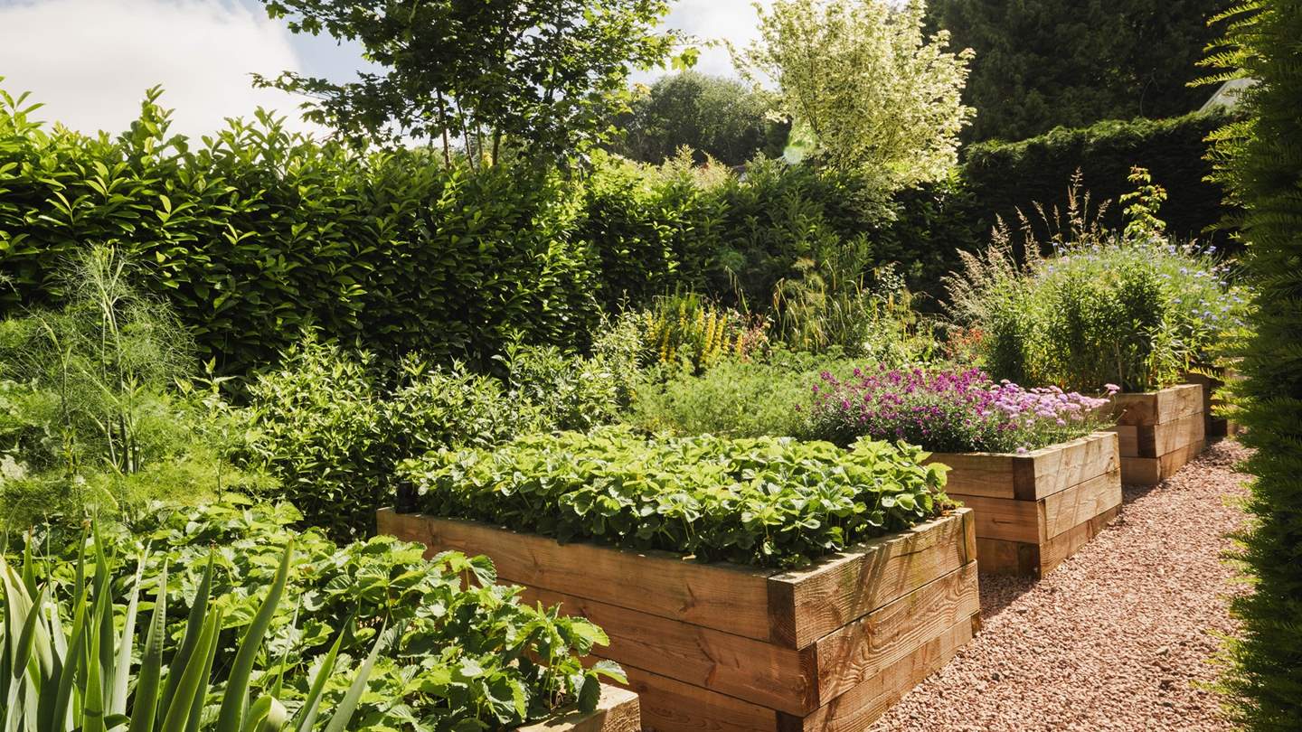 Guests are most welcome to pick from the fruit trees, as well as the herb and flower garden