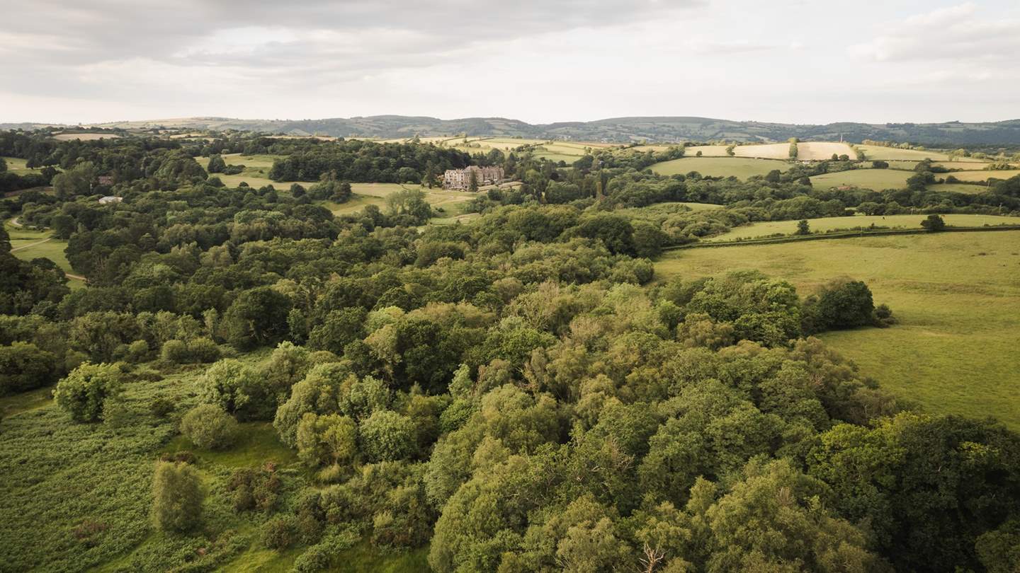 For those who want to explore further afield, the wilds of Dartmoor are but footsteps away