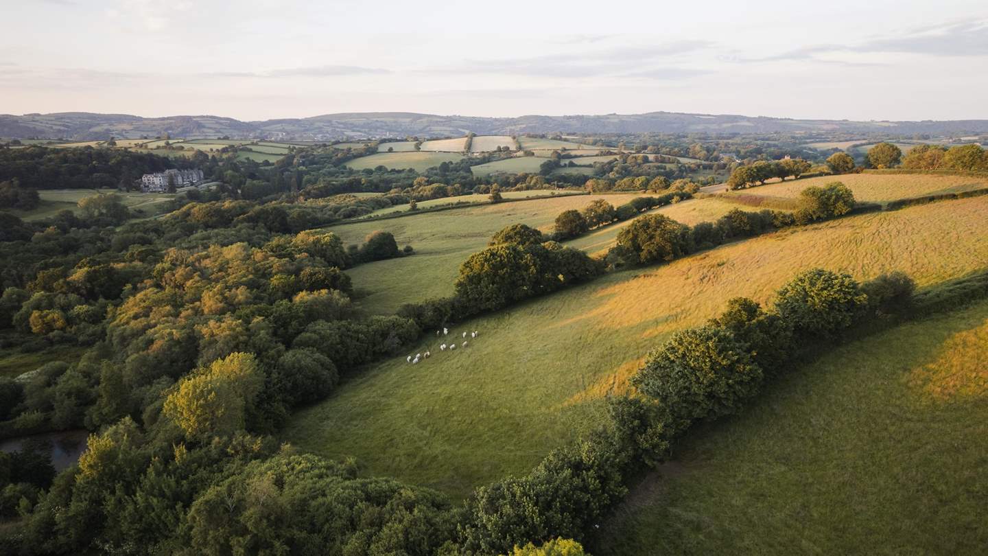 A total dream for walking with canine companions, Becky Falls is less than four miles away