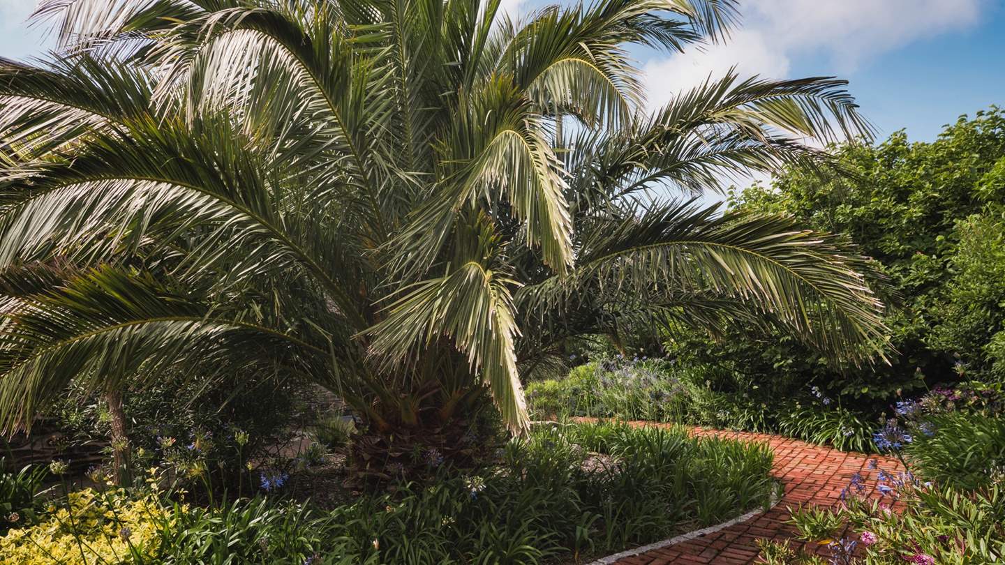 Embraced by palms and flowing fields and only moments from seven beautiful bays