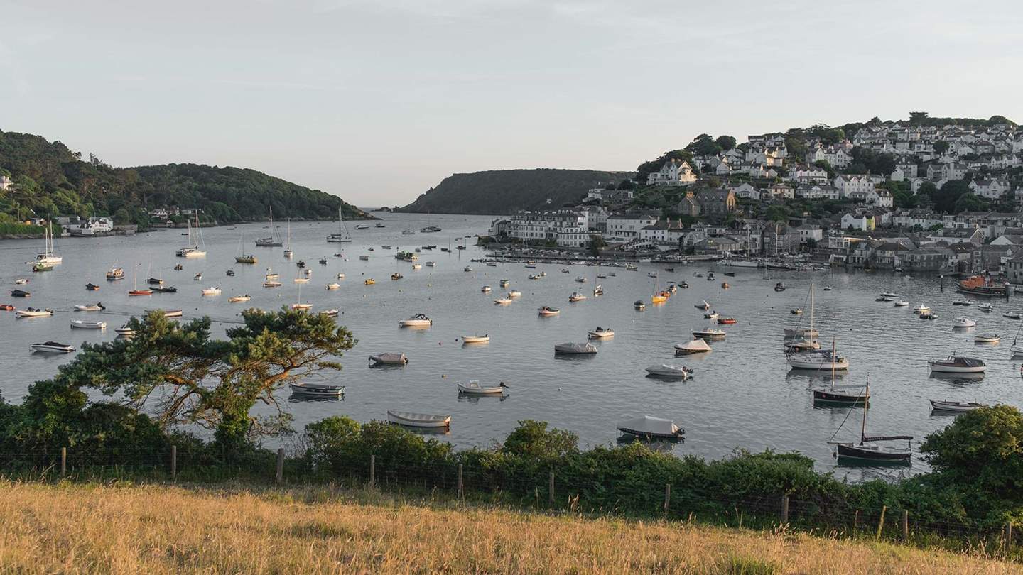 Salcombe Cruises organises harbour and creek excursions, as well as Salcombe Gin Tours in partnership with Salcombe Distillery