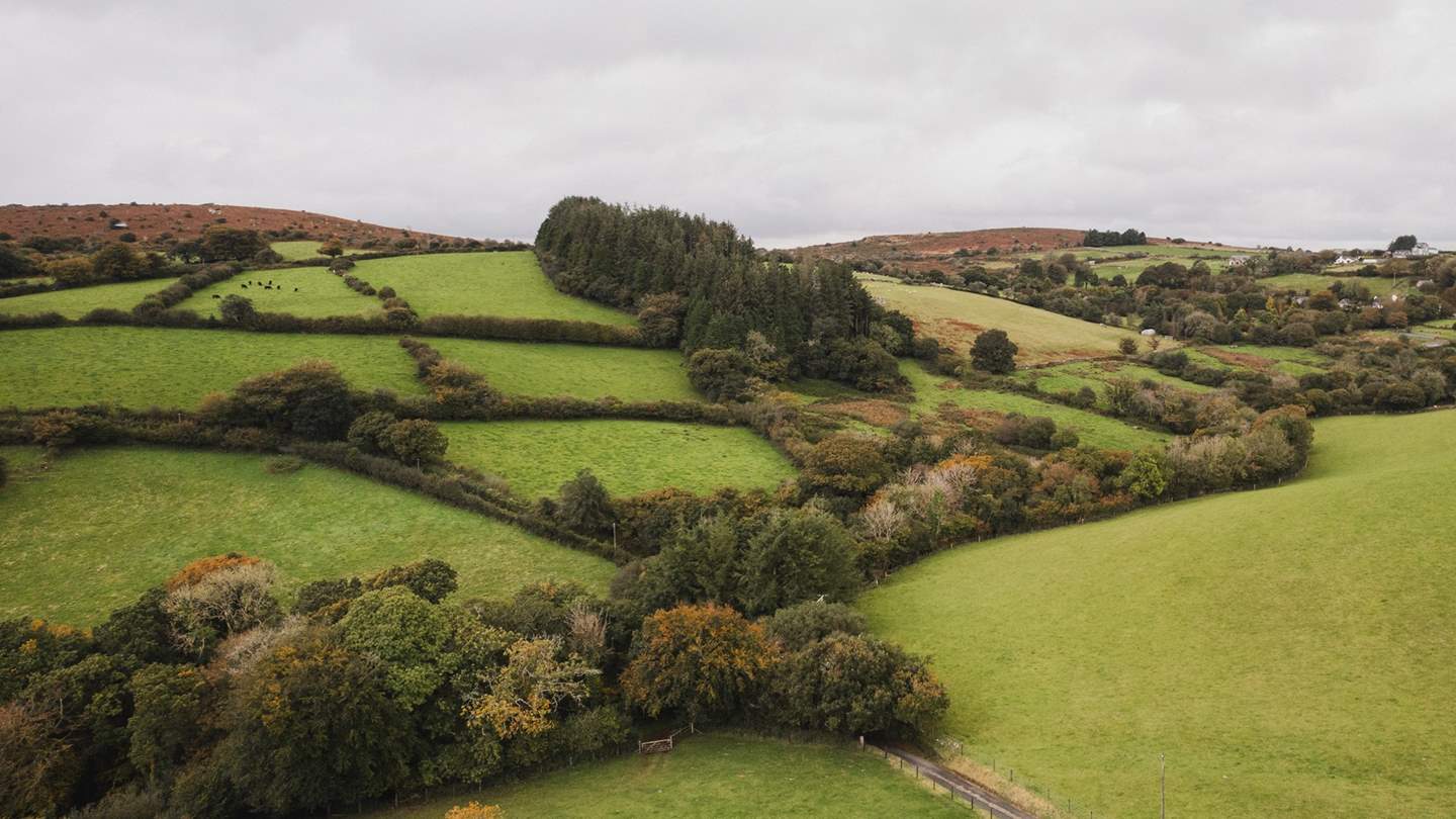Embark on unforgettable forays and uncover local gems, donning boots to explore the plethora of walking trails that wend past dramatic moorland and ancient forest