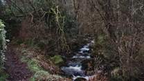 Uncover the mountain stream, leading to the village