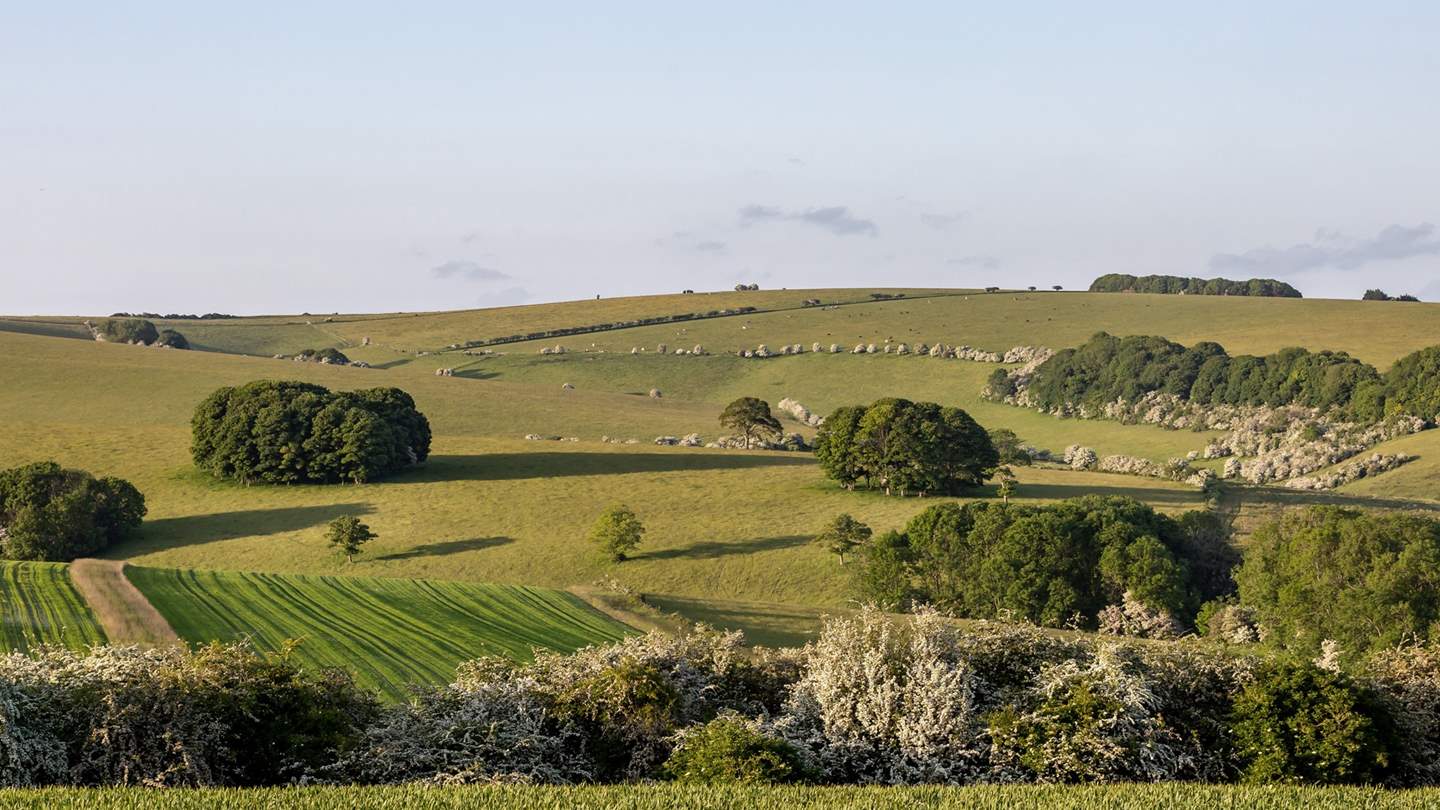 Residing in the heart of the Cranborne Chase National Landscape, Orion is a dream for luxury getaways in Wiltshire