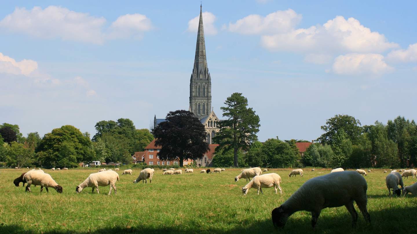 Enjoy a daytrip to the nearby historical city of Salisbury 