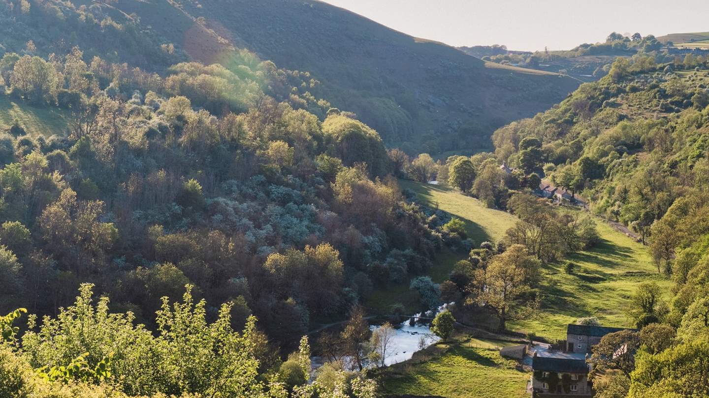 From historic sites to tree-lined paths, and trails along the River Wye, you’ll find an abundance of mesmerising walks 