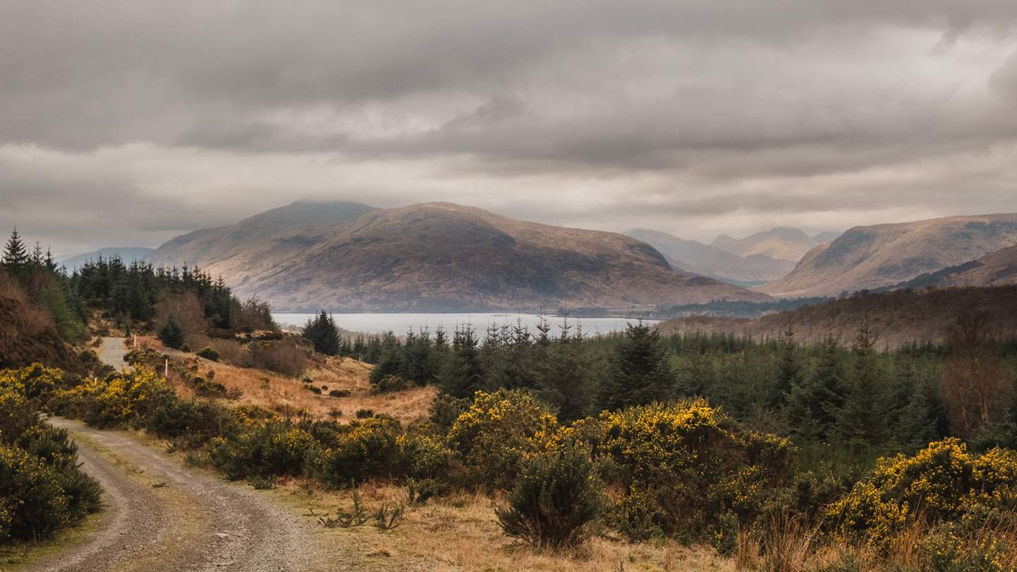 By prior arrangement for a fee, take a private tour of the Coruanan Estate, where you can discover the best walks, fishing and wild swimming spots