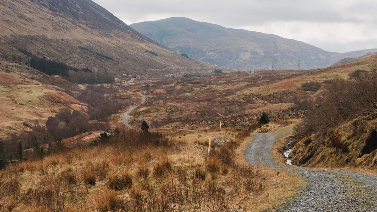 Spot Scottish wildlife, flora and fauna, and learn about the rich Scottish history of the estate and local area