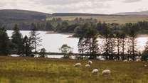Beautifully scenic, Loch of Lintrathen is only five minutes by car, and is great for water sports and wild swimming